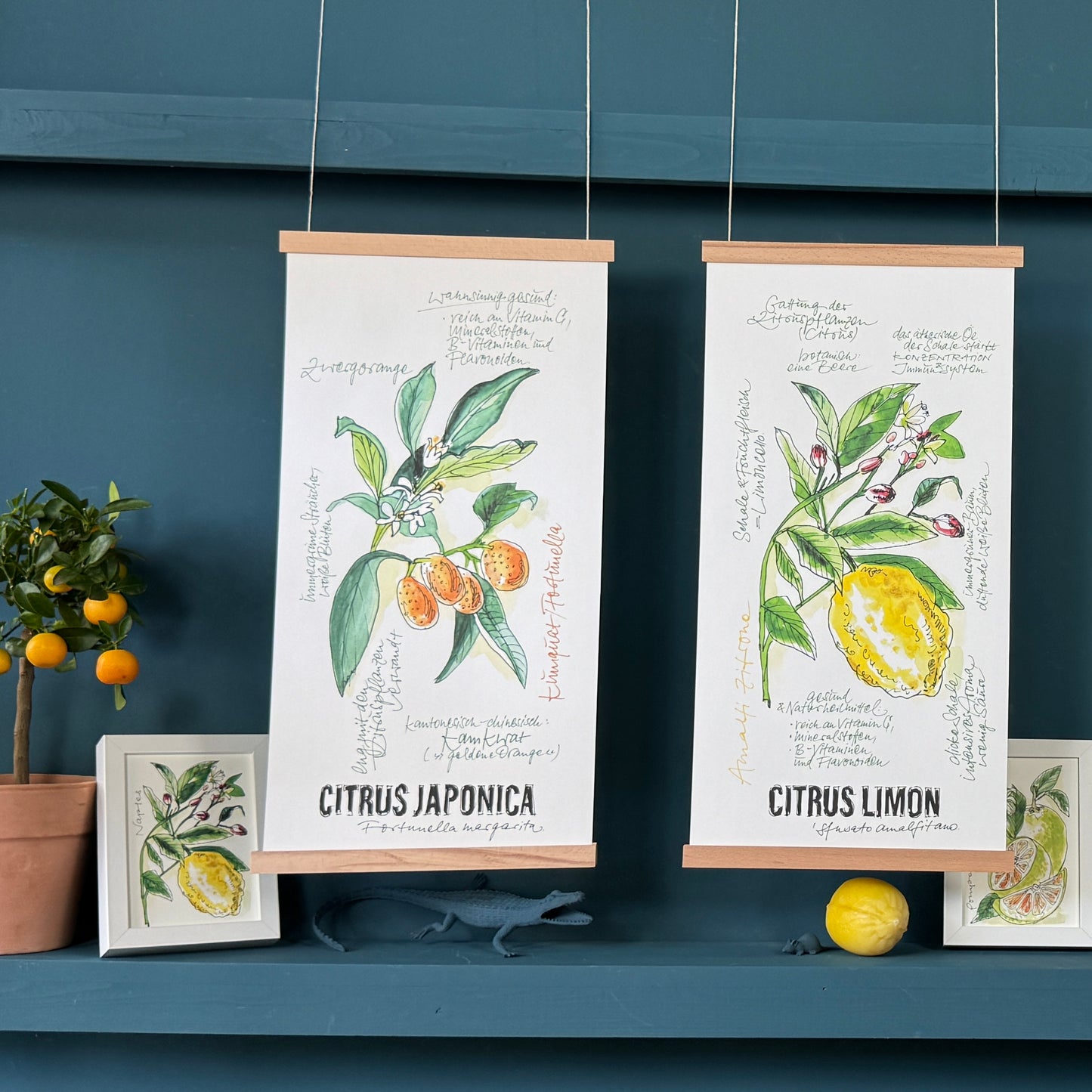 Citrus De Luxe »Amalfi Zitrone«