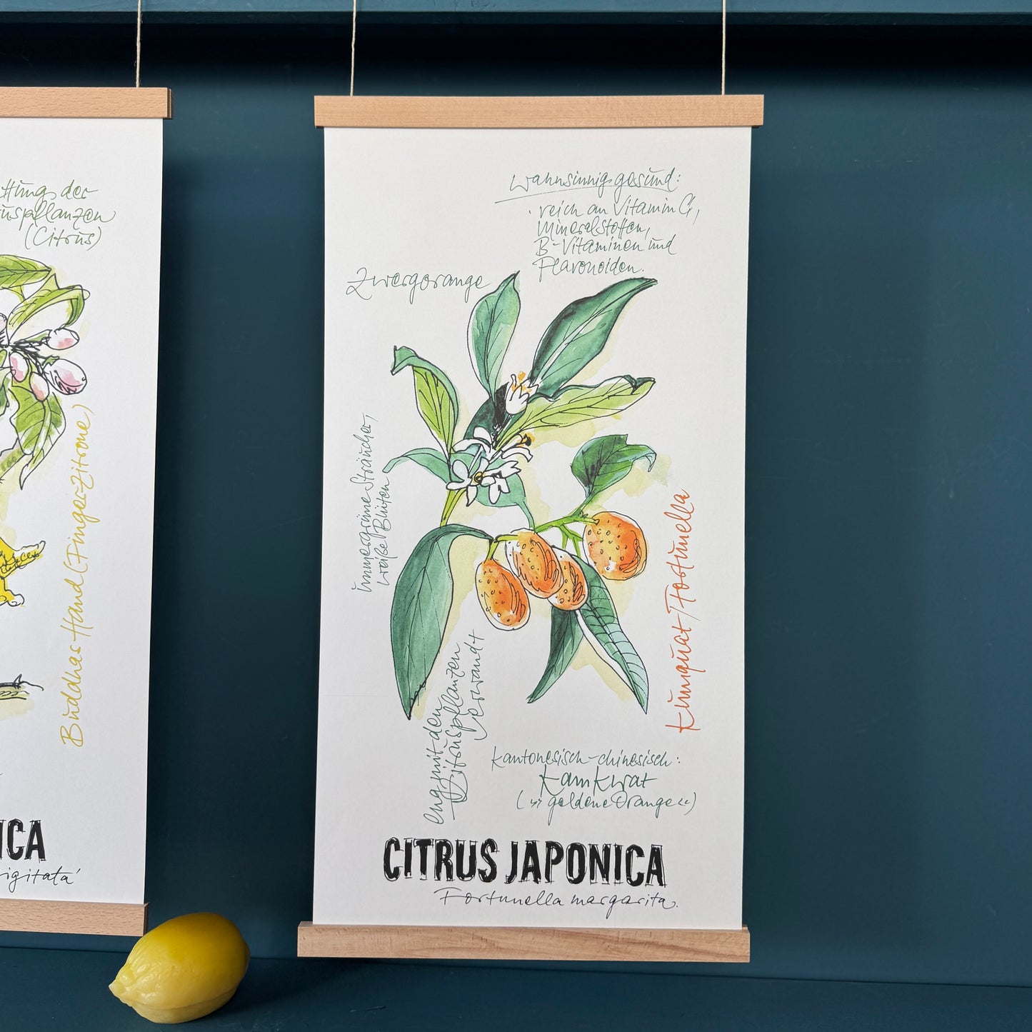 Citrus De Luxe »Kumquat«