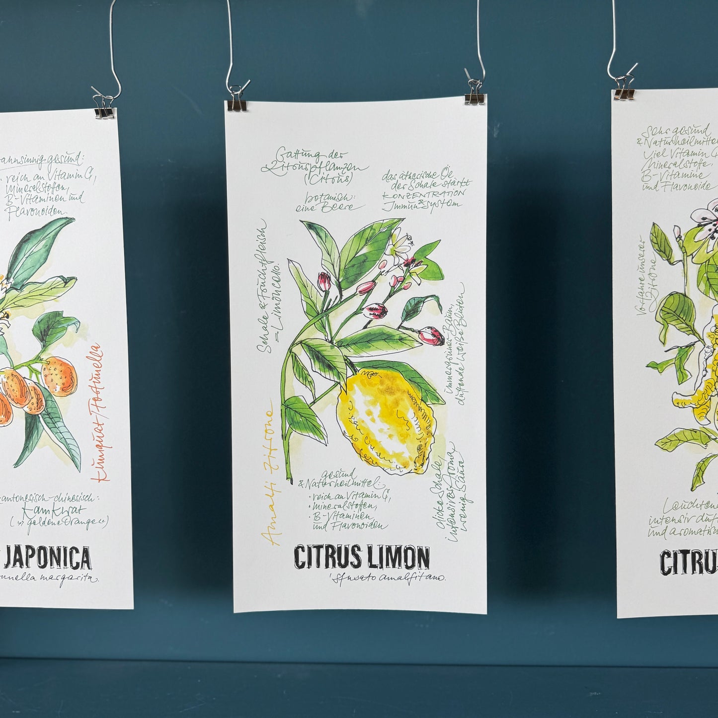 Citrus De Luxe »Amalfi Zitrone«