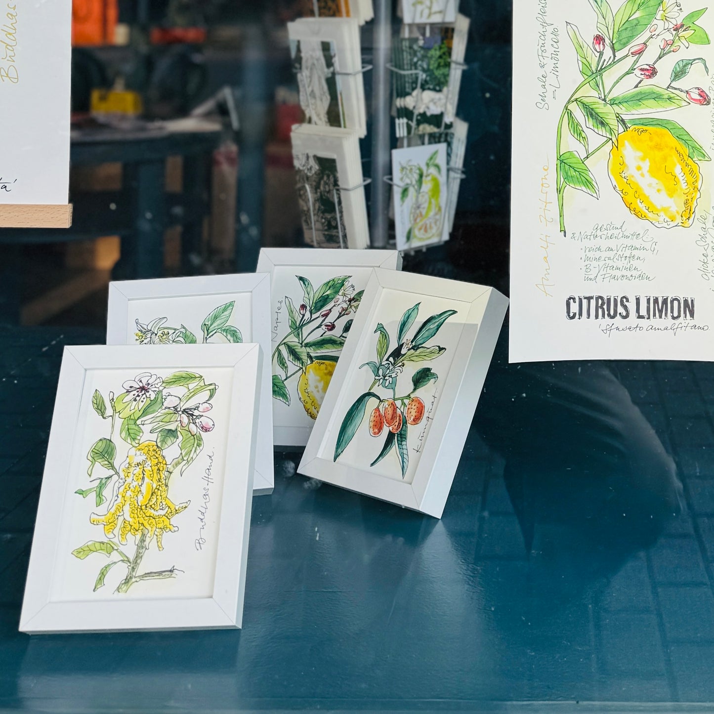 XL Postkarte Pomelo