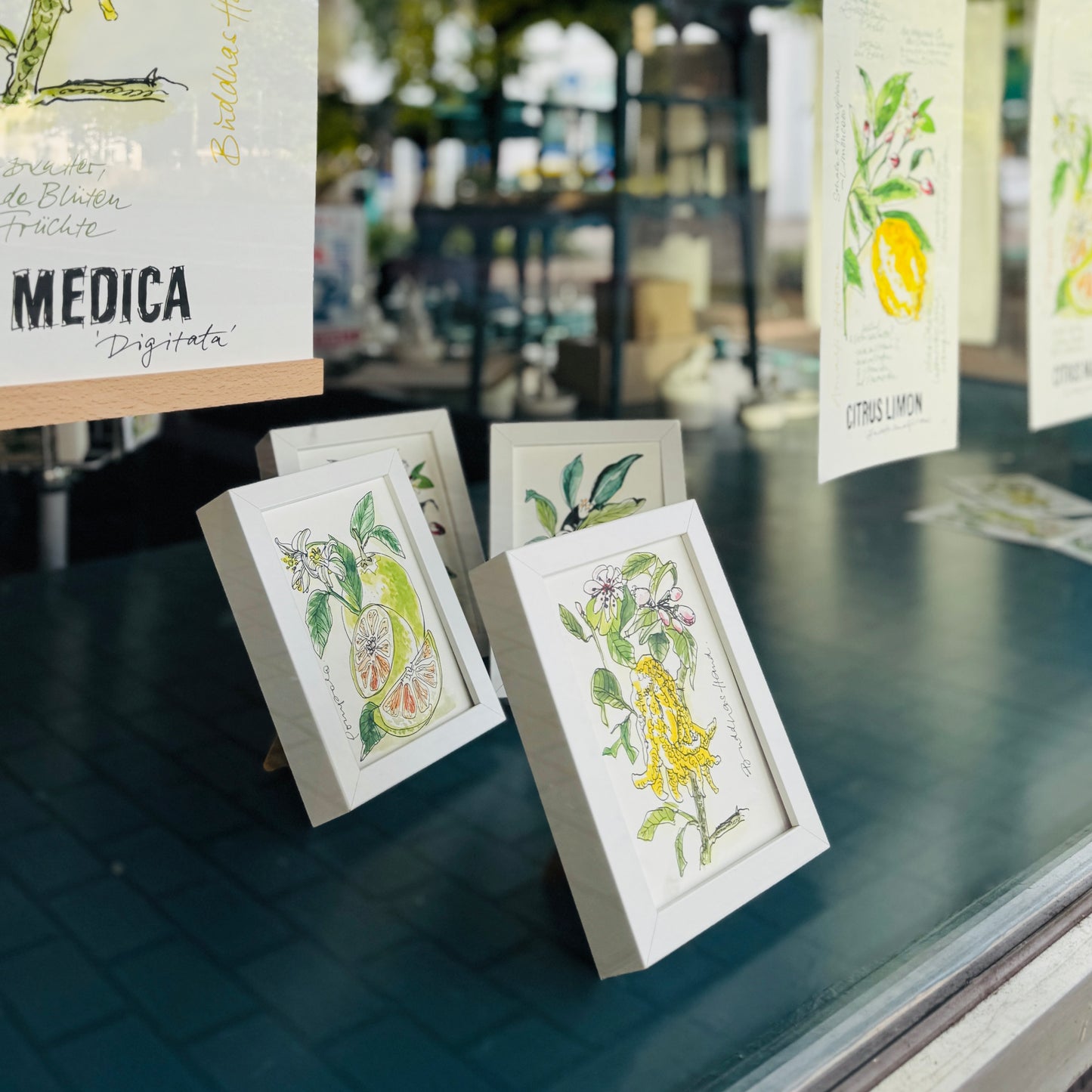 XL Postkarte Pomelo