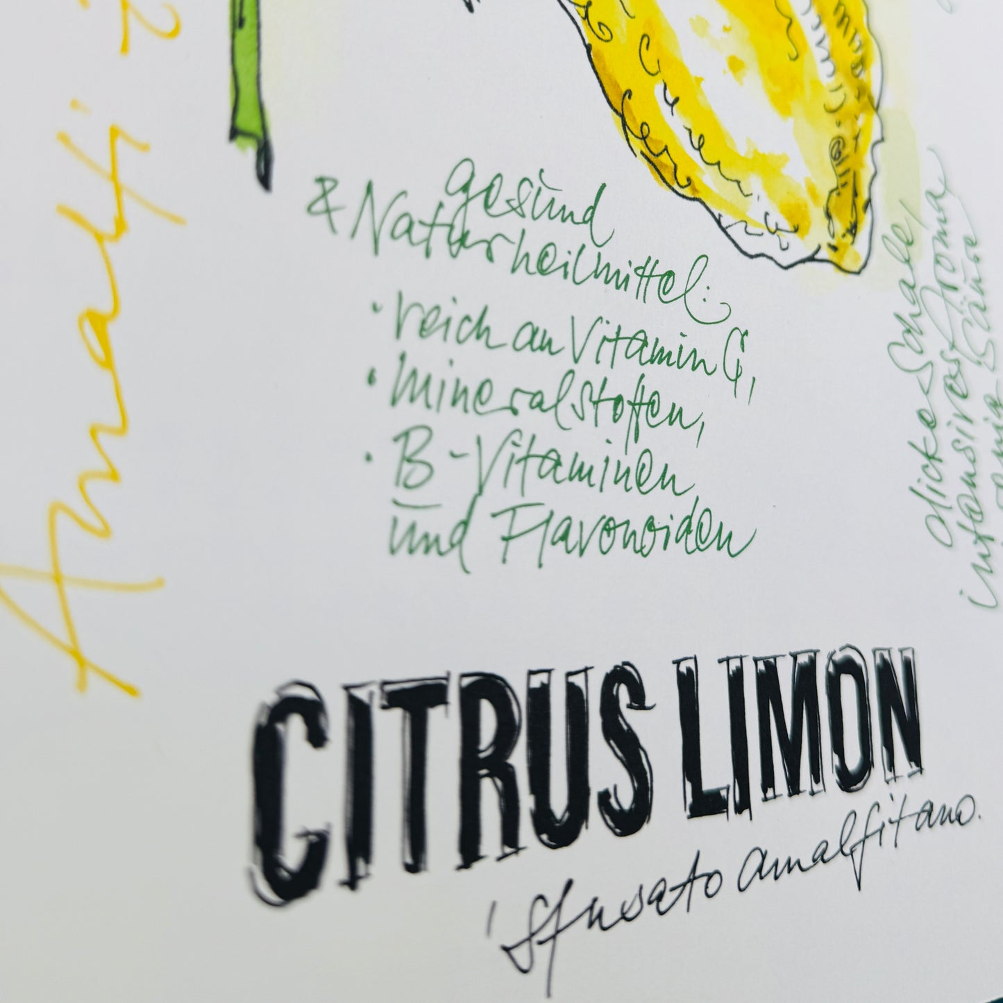 Citrus De Luxe »Amalfi Zitrone«