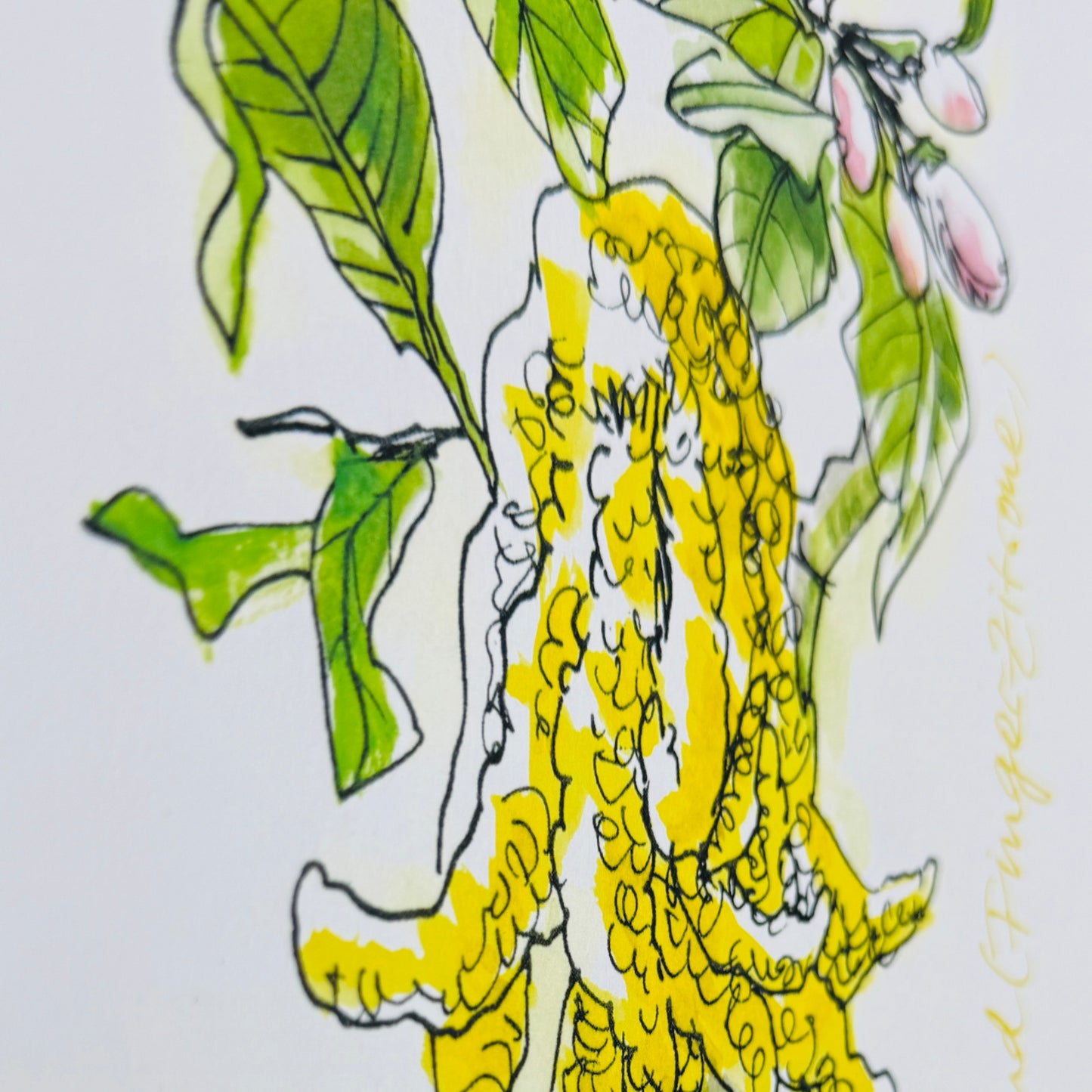 XL Postkarte Buddahs Hand
