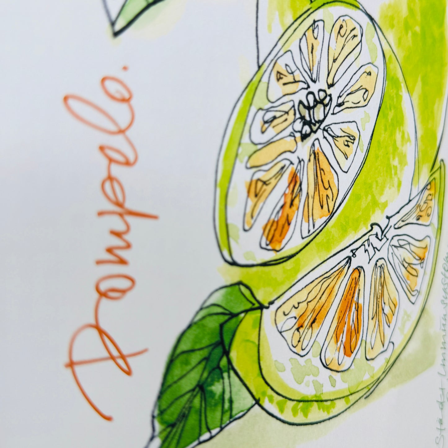 XL Postkarte Pomelo