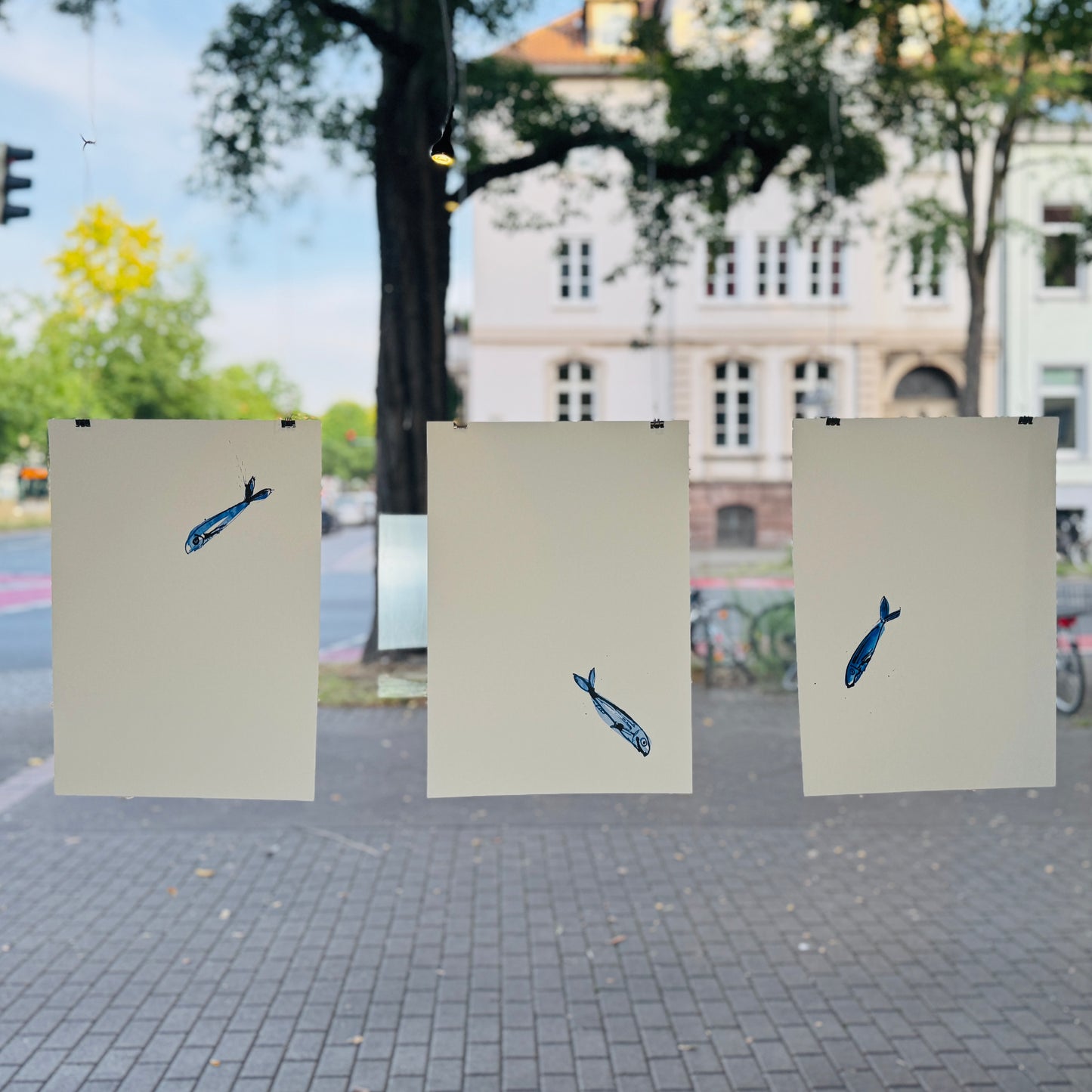 Sardine »No.3«