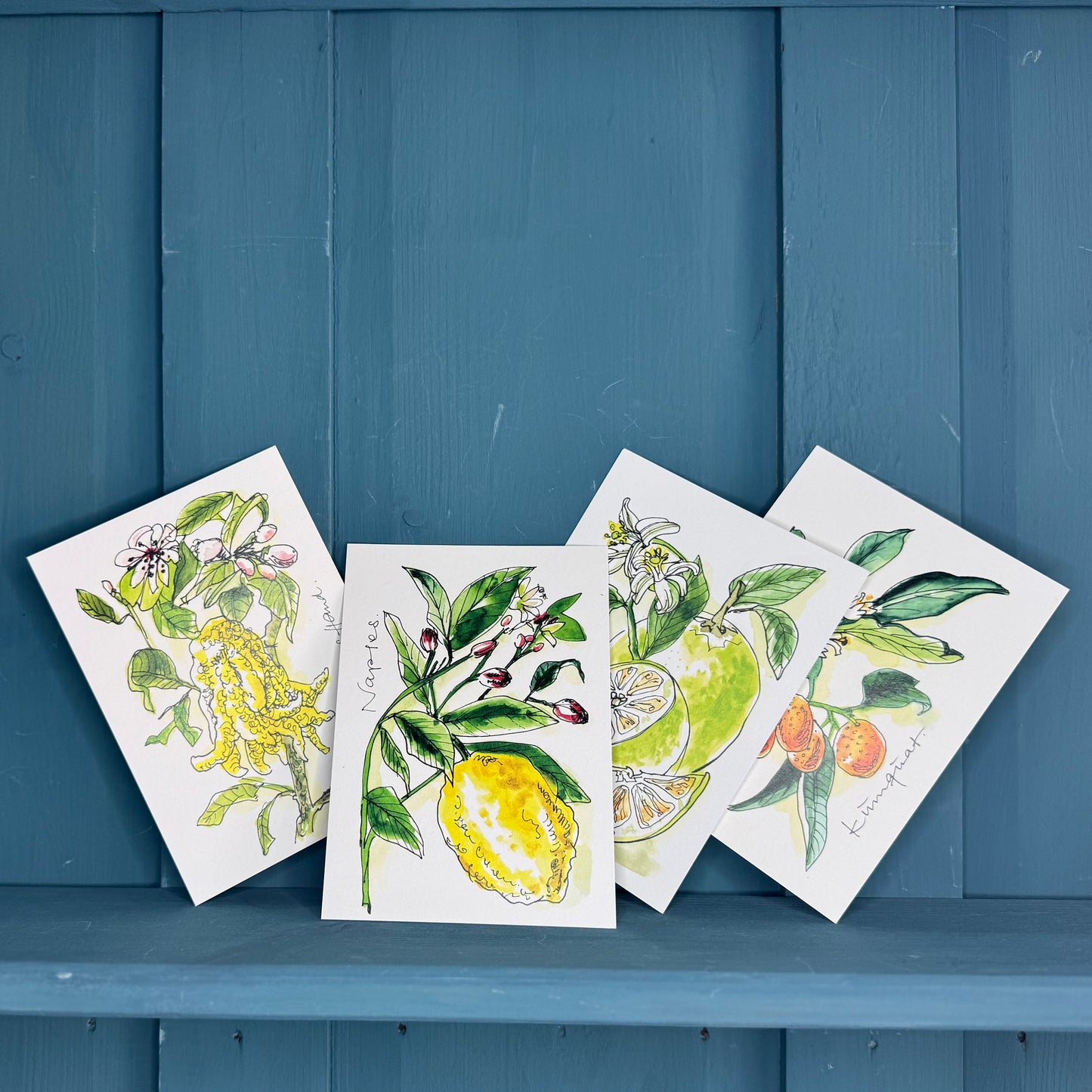 Postkarte botanische Illustration »Buddahs Hand«