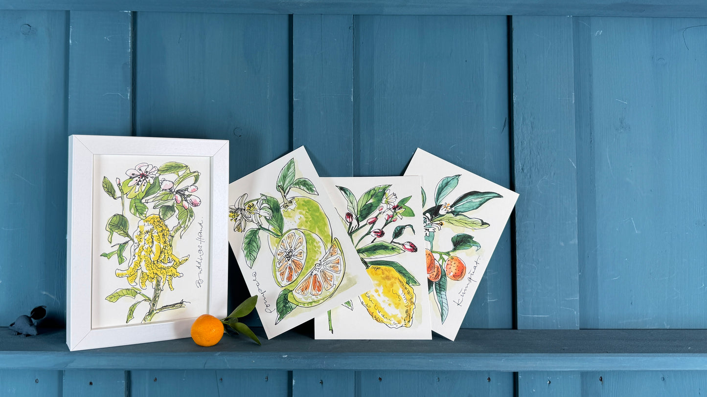 XL Postkarte Buddahs Hand