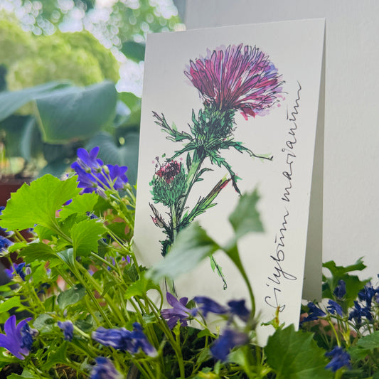 Klappkarte »Distel«