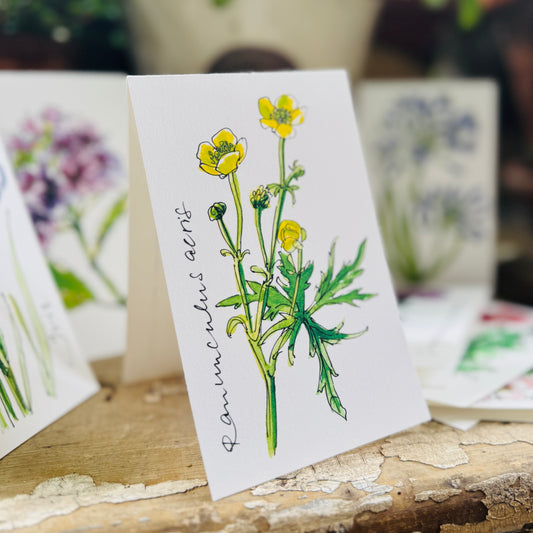Klappkarte »Butterblume«