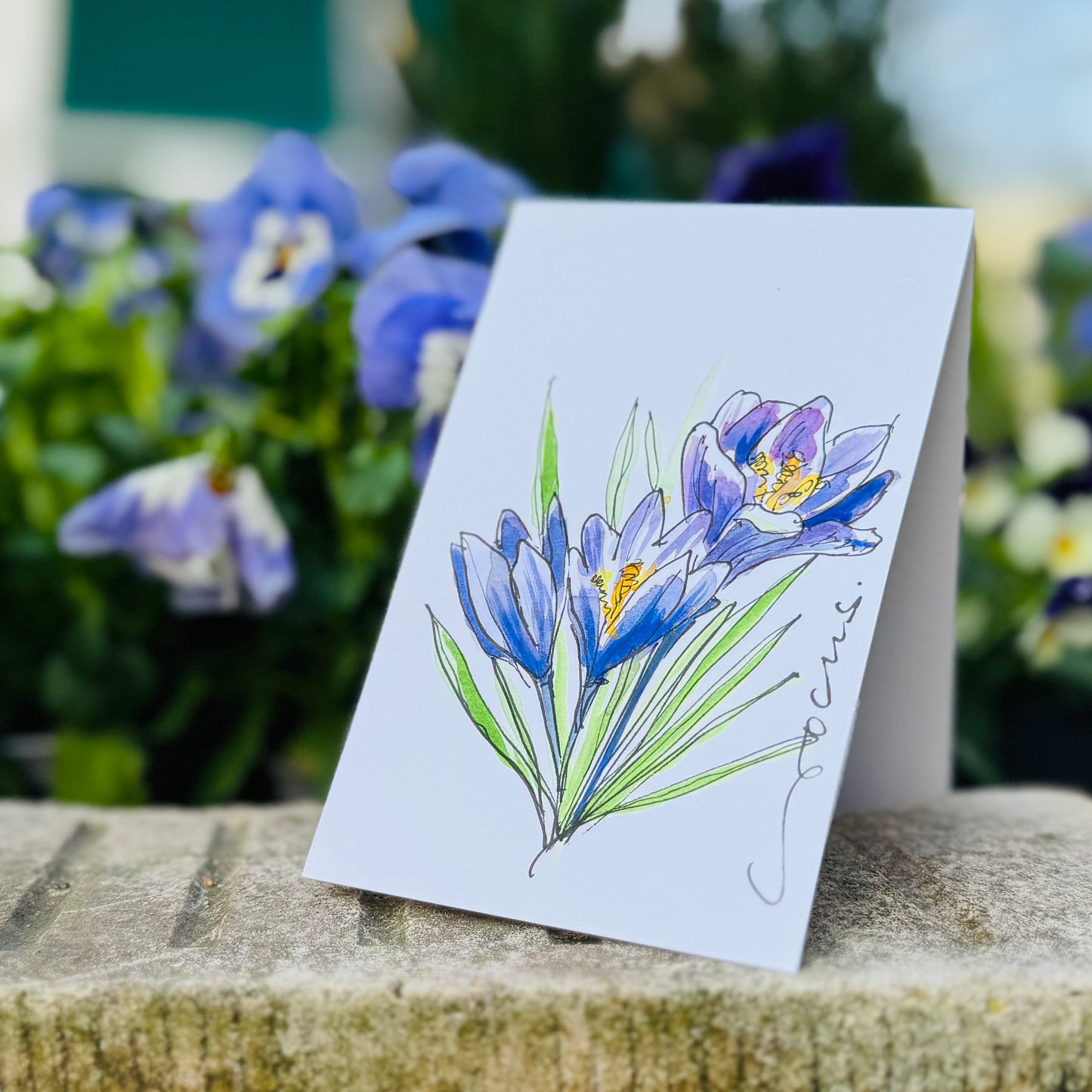 Klappkarte »Crocus«