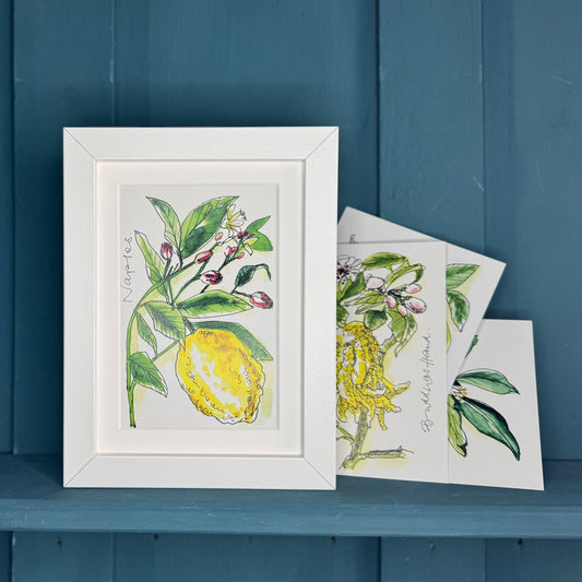 Postkarte botanische Illustration »Zitrone«