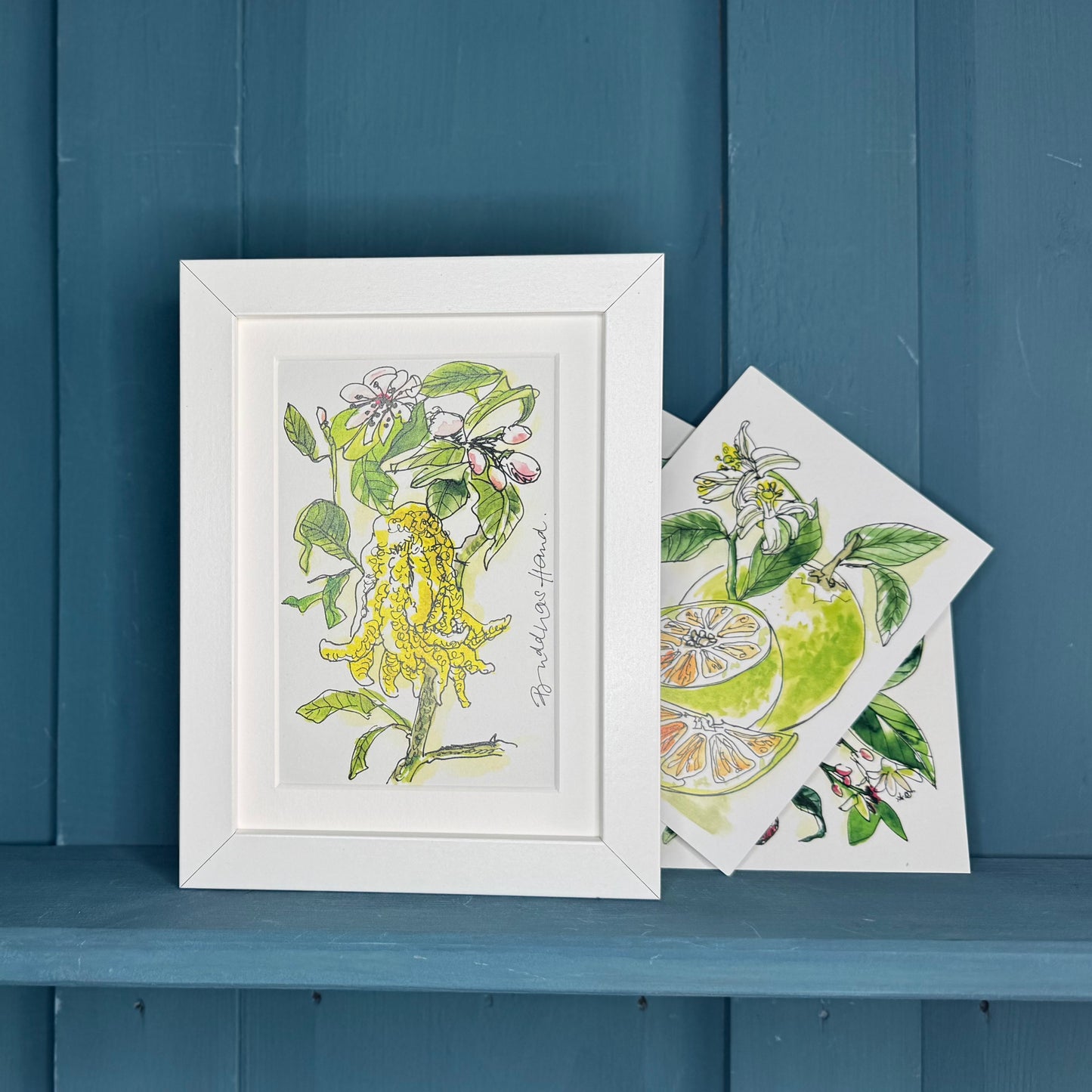 Postkarte botanische Illustration »Buddahs Hand«