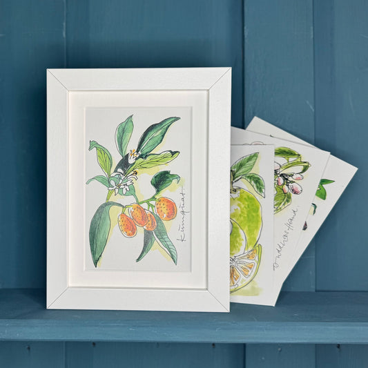 Postkarte botanische Illustration »Kumquat«