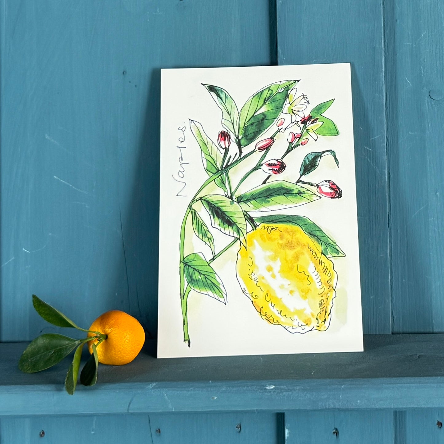 XL Postkarte Amalfi-Zitrone