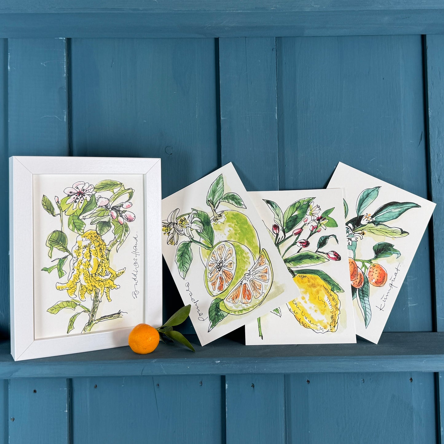 XL Postkarte Pomelo