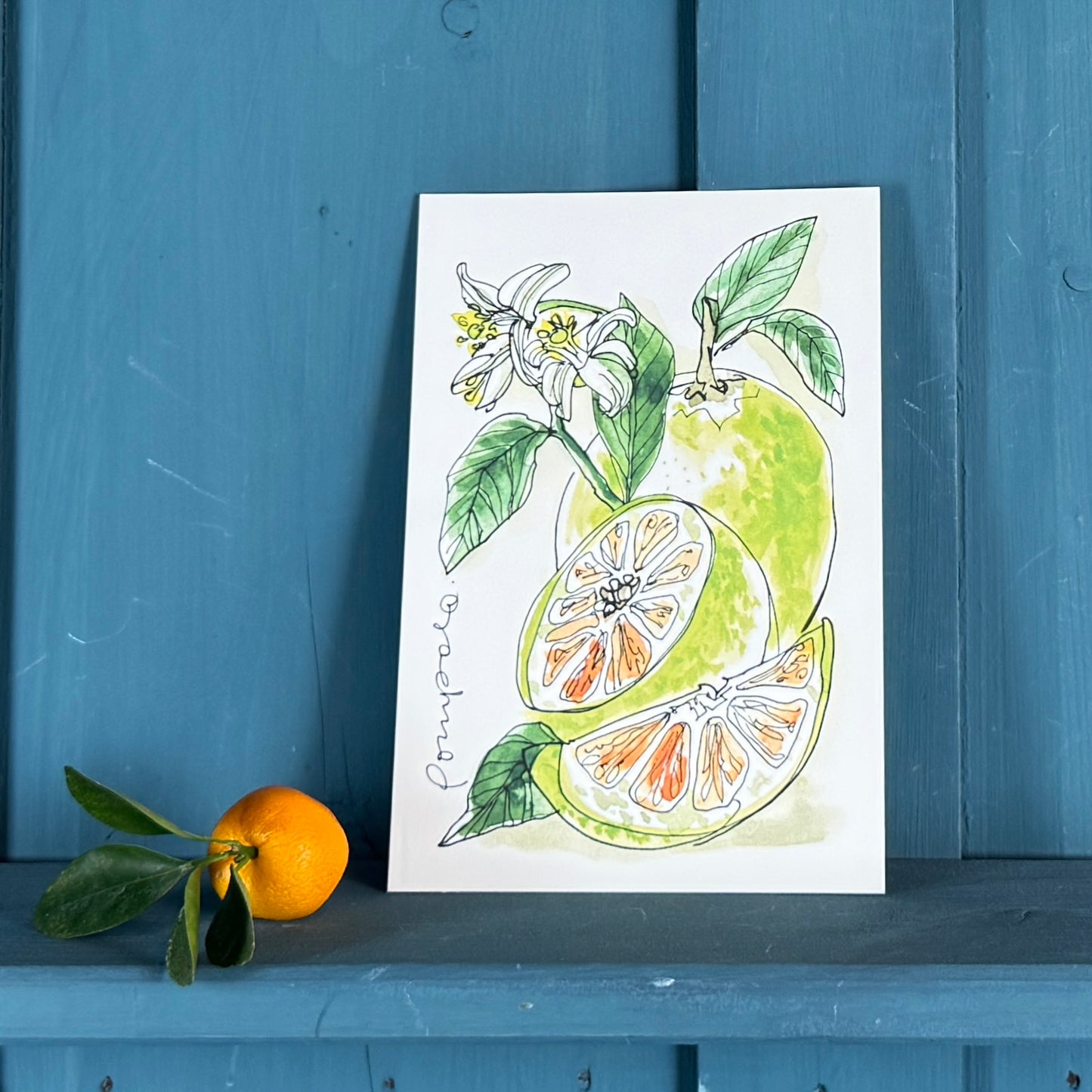 XL Postkarte Pomelo