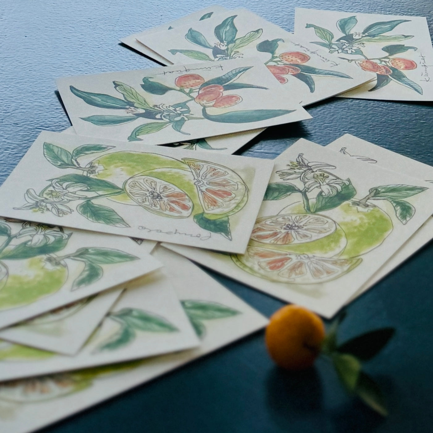 XL Postkarte Pomelo
