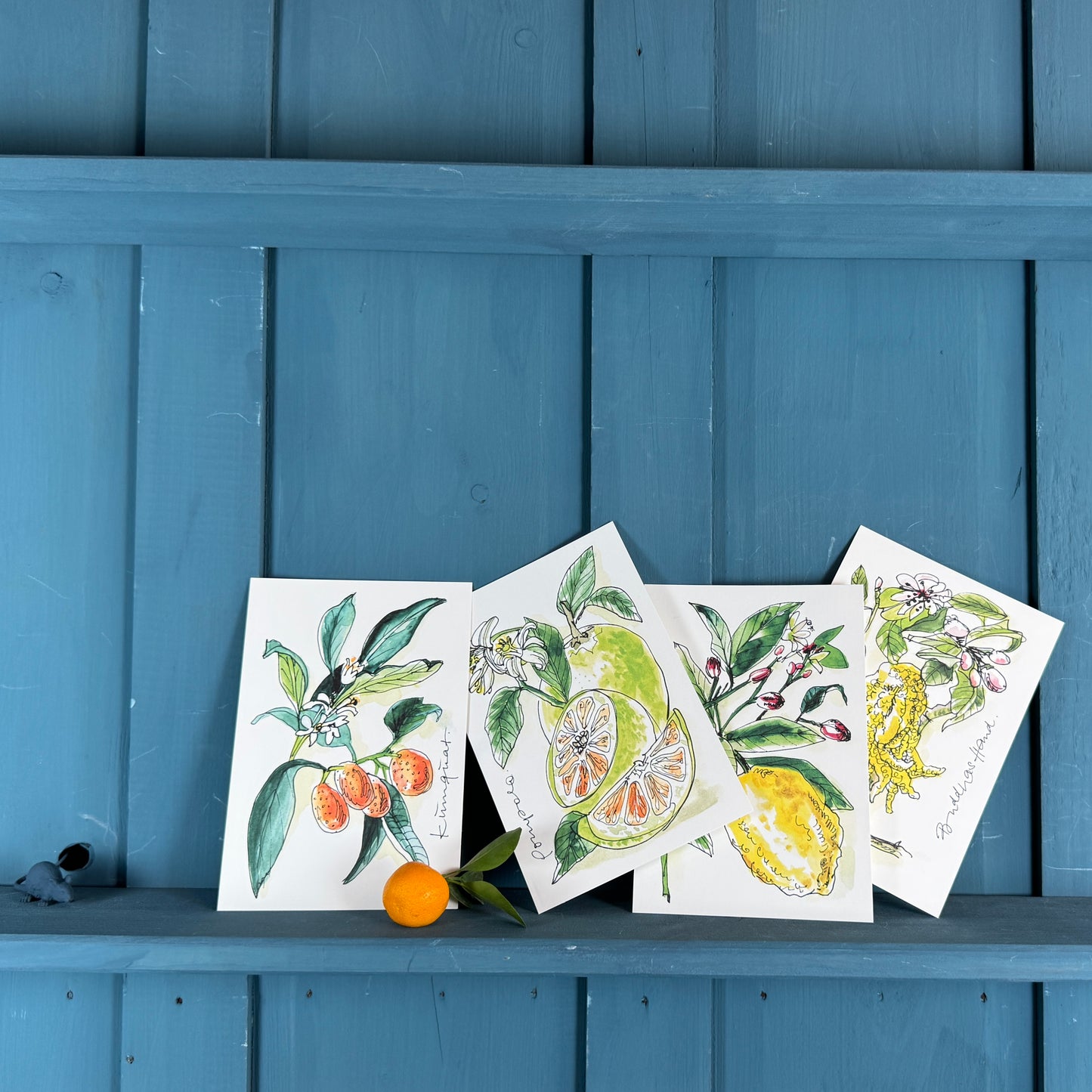 XL Postkarte Amalfi-Zitrone