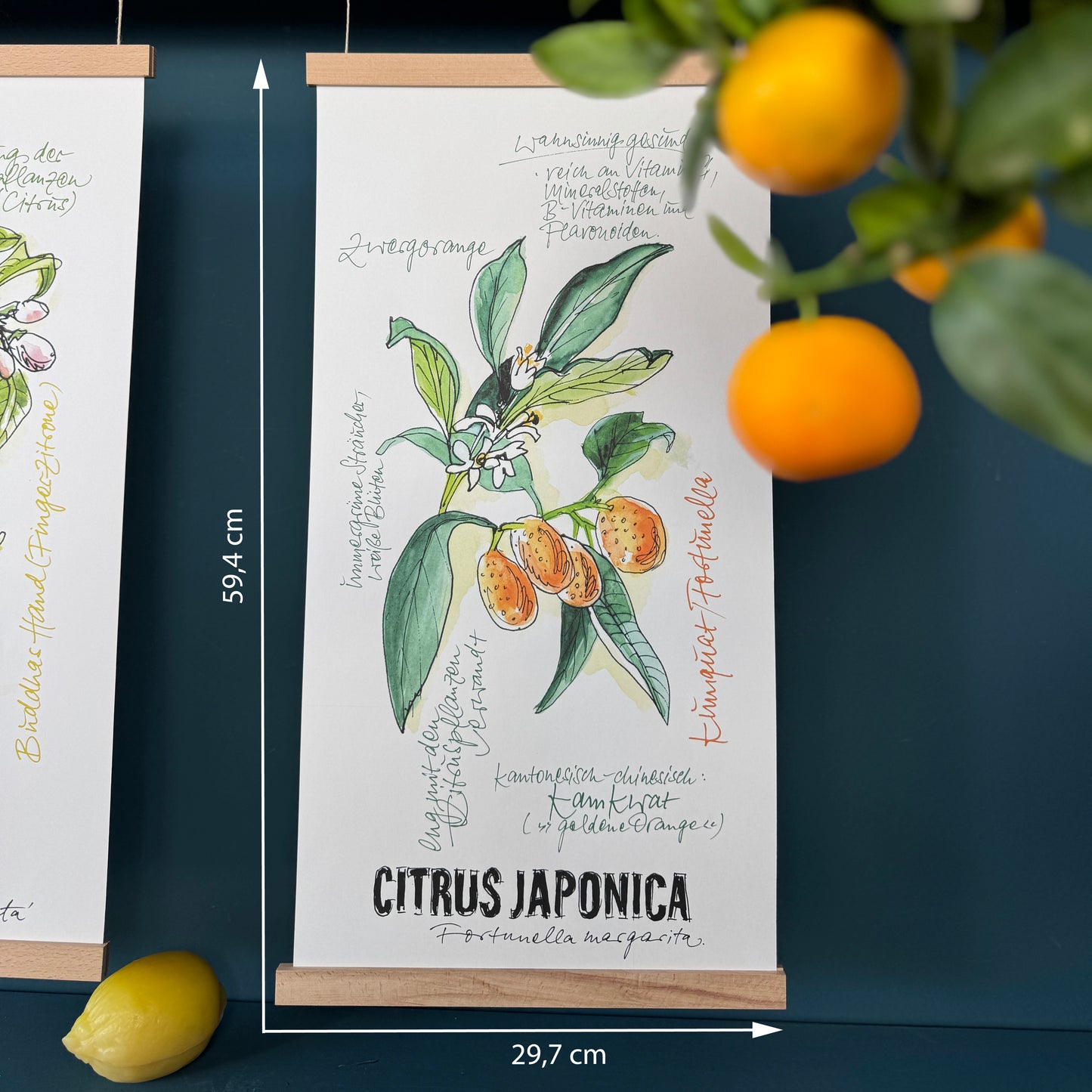 Citrus De Luxe »Kumquat«
