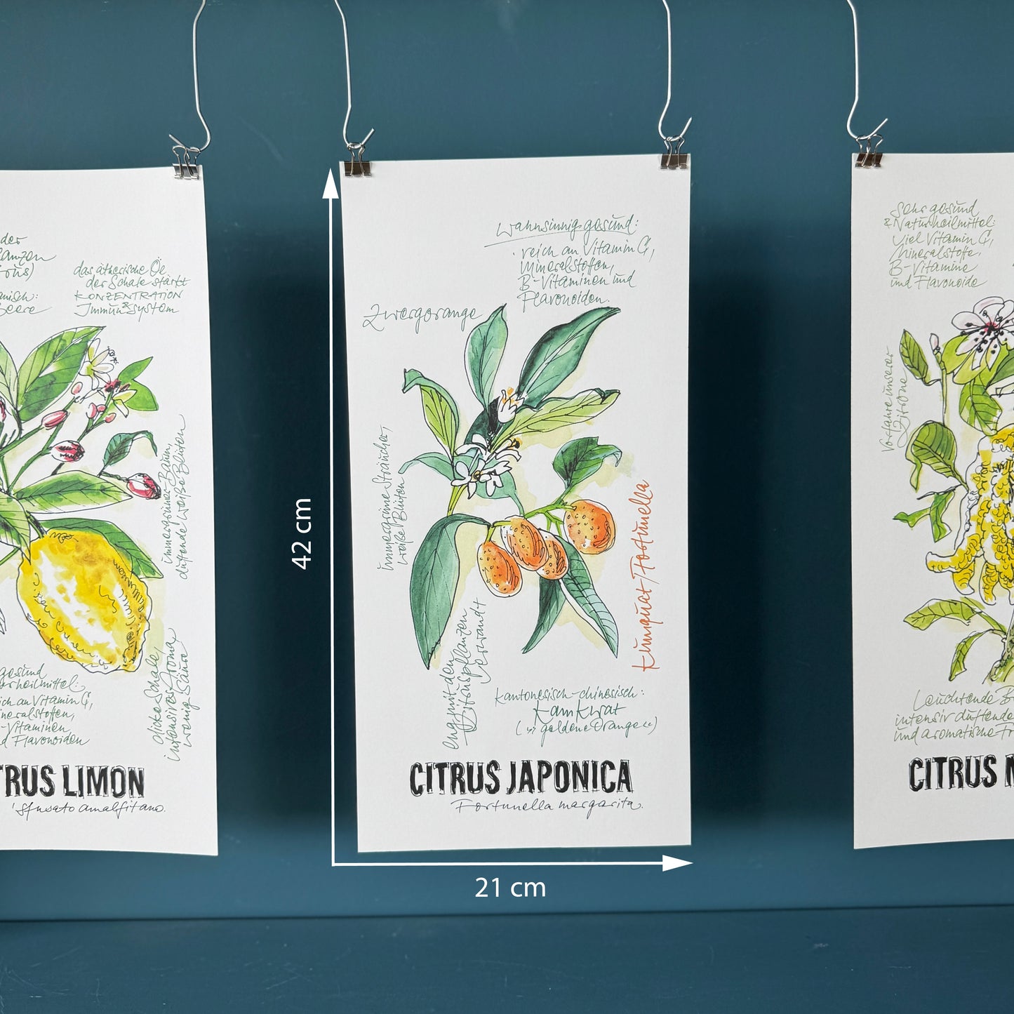 Citrus De Luxe »Kumquat«