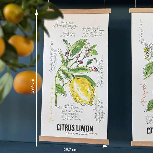 Citrus De Luxe »Kumquat«