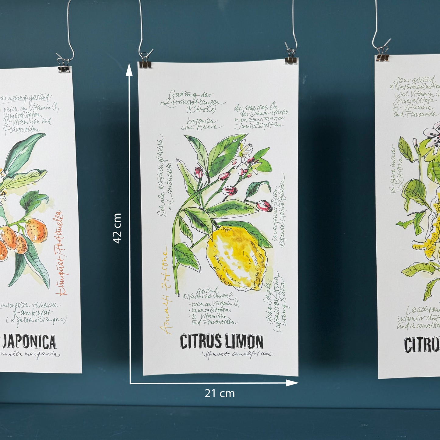 Citrus De Luxe »Kumquat«