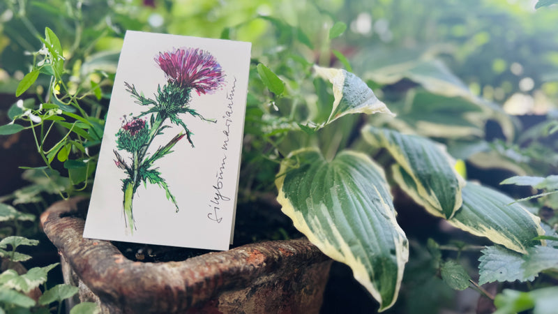 Florale Freude