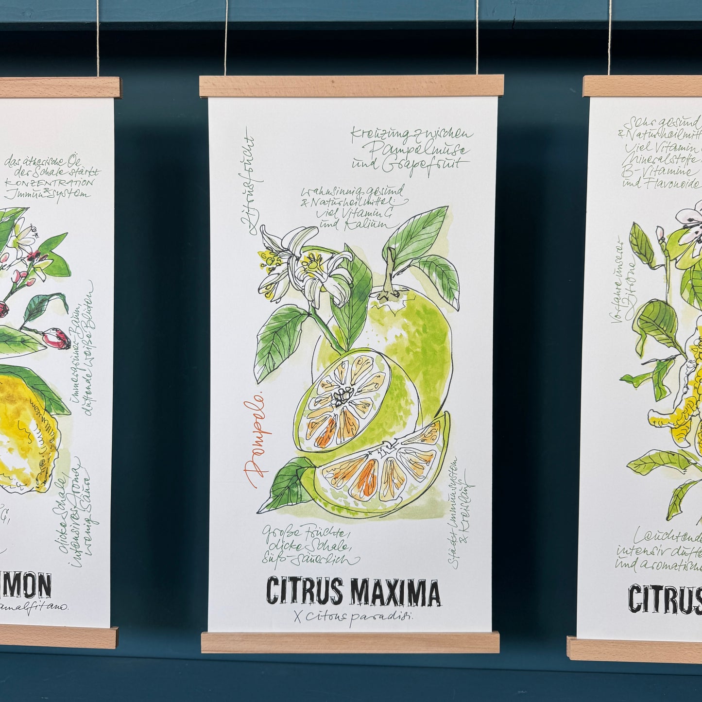 Citrus De Luxe »Pomelo«
