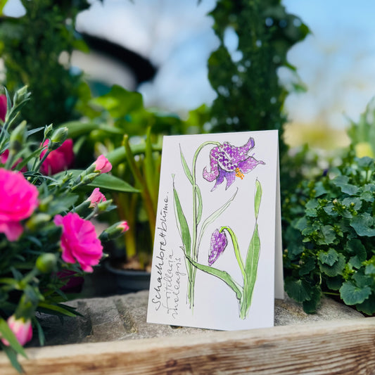 Klappkarte »Schachbrettblume«