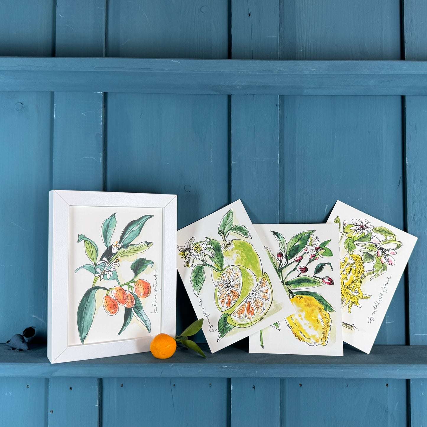XL Postkarte Kumquat