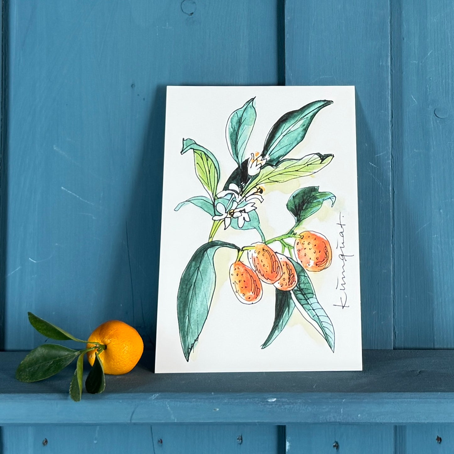 XL Postkarte Kumquat